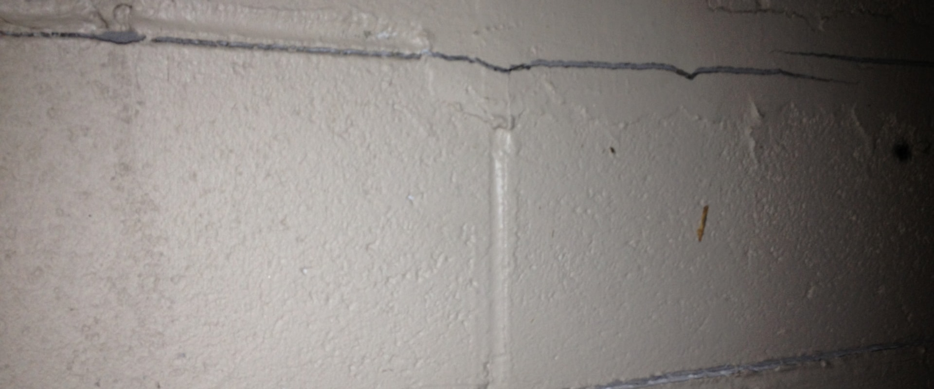 What are the Cracks in the Basement Filled With?